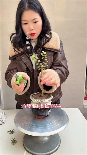 Zu 8549875306 mini rotary tillage and ridging all-in one tree short view #travel#beach#flower