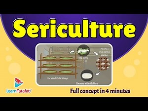 CBSE Class 7 Chapter 3 Fibre to Fabrics - Sericulture | LearnFatafat