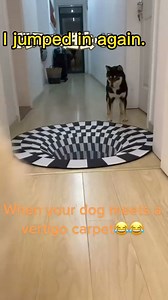 🤣🤣 | Pets Story