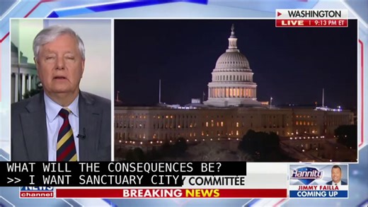 Lindsey Graham Goes on Bizarre Rambling Rant Before Hannity Steps In: 'I Think You're Pretty...Jacked Up!'