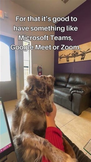 Hattie's Hotline: Remote Work