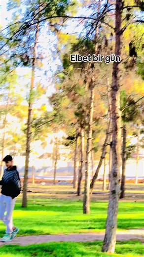 Exploring a Beautiful Park on a Sunny Day