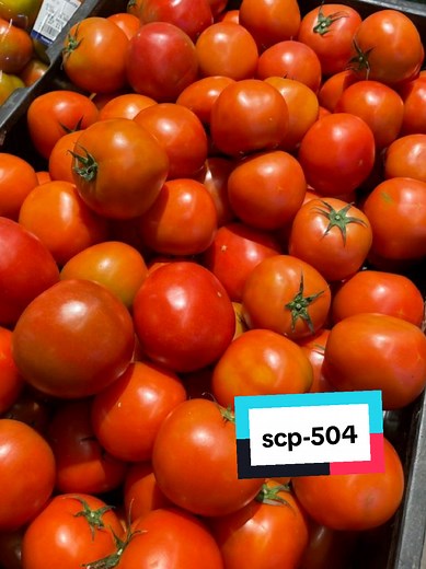 Understanding SCP-504: The Tomato with a Twist