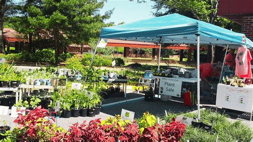 'Spring Festival of Flowers' this weekend at Pensacola State College Milton campus