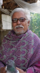 39K views · 1.3K reactions | a Old Village Pigeon Lover 1971 #pigeonhorts #pigeonreels #pigeonloftvisit #oldpigeonlover #villagepigeonlover | Sukamal chakraborty | Facebook