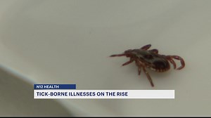 CDC: Number of tick-borne illnesses have quadrupled over the past 2 decades
