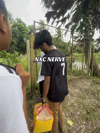 NXC Esports Team: Meet the Players and Their Skills