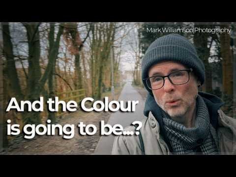 Getting Some Colour into My Photos...
