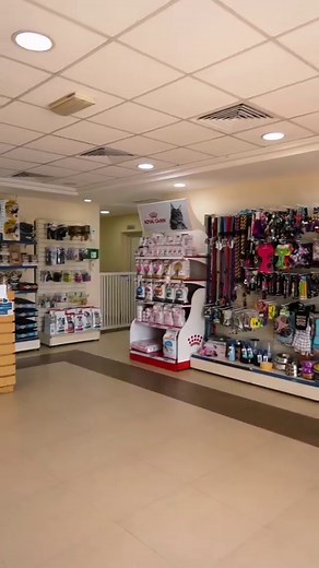 Welcome to Doggies Palace, Dubai's premier pet-friendly lodging facility for your beloved fur-baby! Our mission is to provide a safe and enjoyable experience for your furry friend, giving you peace of mind knowing they are in good hands. With over 11 years of combined experience, our expert staff caters to dogs of all sizes and temperaments, ensuring they receive the individualized care they deserve. . Located in Warsan 2, our park and resort offer a home away from home for your pets. Trust Dogg