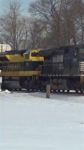 The Virginian Heritage Unit rolls by trailing on Norfolk southern train.
