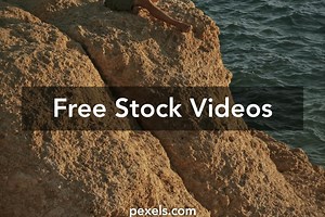 Full Hair Videos, Download The BEST Free 4k Stock Video Footage & Full Hair HD Video Clips
