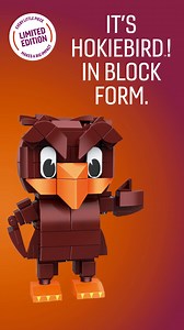 84 reactions · 6 comments | A better future can’t be built in a day, but this HokieBird can! Get a set of building blocks by making a gift of $25 or more. | Virginia Tech | Facebook