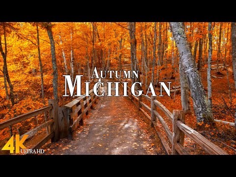 Autumn Michigan 4K Ultra HD • Stunning Footage Michigan, Scenic Relaxation Film with Calming Music.