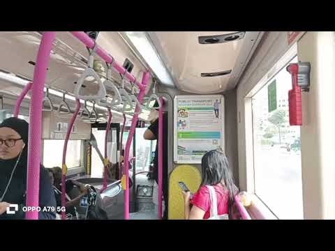 SG5180T On Service 806 [SBS Transit]