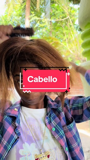 Dale Pelo a Mamá: Humor y Comedia Viral