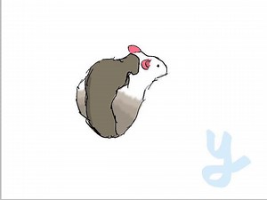 Dumbo Rat Artwork Drawing Mockup Sublimation Handmade - Etsy