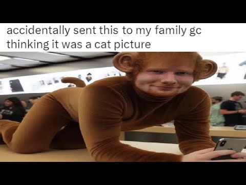 Family Groupchat Accidents