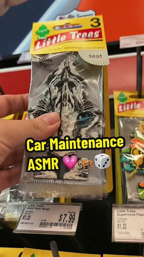 Car Accessories Shopping at AutoZone with the Girls