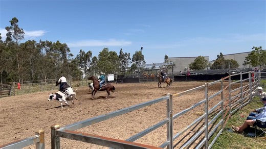Valley Team Penning on Reels | Facebook
