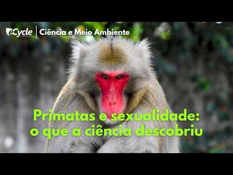 Homosexual behavior in primates reveals a complex evolutionary strategy.