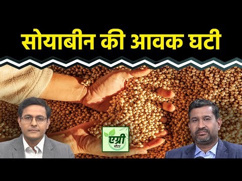 Commodity Market: सोयाबीन की आवक में कमी, क्या आगे चलकर सुधार होगा? | Soyabean | Agri Commodity