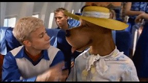 Scooby-Doo Punches Fred GIF | Know Your Meme