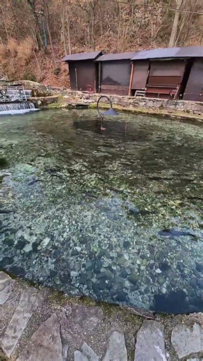 Crystal Clear Water & Calm Fish