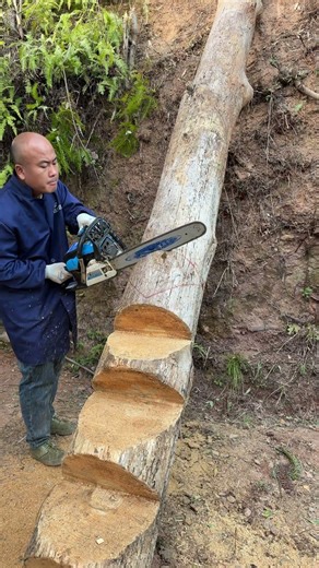 Master Carpenter's Amazing Work! Whole Process of Making Giant Ladder from Tree