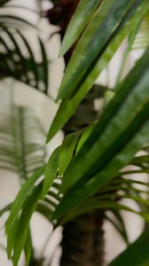 1.8K views · 26 reactions | A behind the scenes look into what’s happening at our workshop for The Road to Damascus’s set design!漢✍ #ohiostartheater #theroadtodamascus #behindthescenes #sneakpeek | Ohio Star Theater at Dutch Valley | Facebook