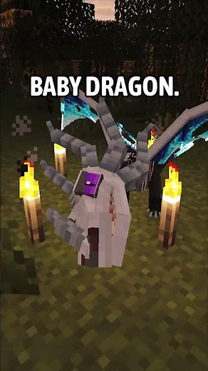 How to Train Your Dragon in Minecraft? 😱 #minecraft
