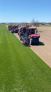1.5M views · 10K reactions | A little pre-game mental prep — the season will be here before we know it!  #brayfordsod #highongrass #springiscoming #kentuckybluegrass #turftalk #greengrass #grassseed #sodfarm #allistonontario #sodnearme Brouwer Kesmac | Brayford Sod Farms Inc. | Facebook