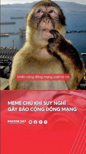 THINKING MONKEY – CHÚ KHỈ SUY NGHĨ VÀ BÀI HỌC VỀ STRESS #shorts