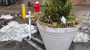 NYC’s bizarre solution to illegal hydrant parking has locals fuming