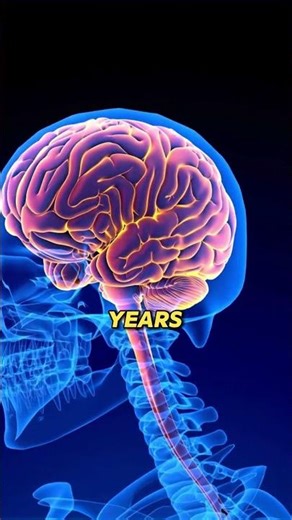 Your Memory Storage Is Massive 🤯 Mind Capacity || #mindfacts #psychologyfacts #brain