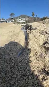 Never grow up! #foryou #fouryoupage #viral