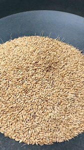 1.4M views · 13K reactions | 2 functions in one machine.Combined Rice Mill. #dawnagro #machinery #farmer #ricemill | Dawn Agro Machinery | Facebook