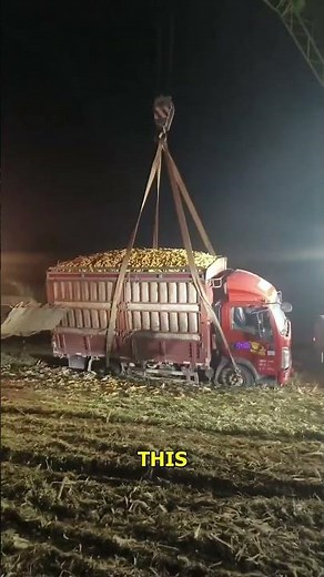 Crane Lifts Truck Astonishing Teamwork and Engineering!.