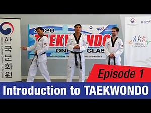 [2020 Online TKD Class] EP 1: Introduction to Taekwondo