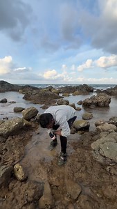 Tiny Tiger Cowrie Shell || Ecosystem of Shells #shell #shells #tigercowrie #tigercowrieshell #tinyshell #smallshell #octopus #conchshell #fingerdconchshell #lowtide #sea #sealife #andaman #island #islandtamilan #islandvibes #tamilreels #instagram | Islandtamilan Sk
