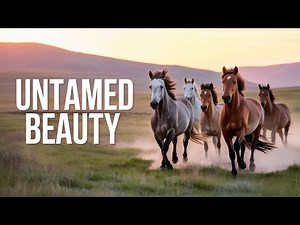 Wild Horses in Nature | Calm & Cinematic Scenes