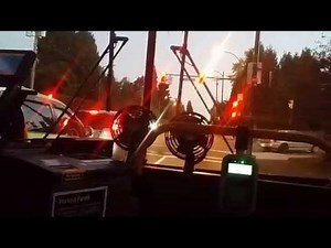 TBT: translink bus driver gary teaches us how a trolley bus works and info