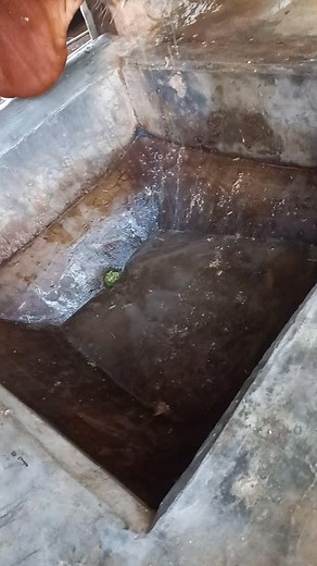 72K views · 951 reactions | Cows enjoy eating homemade mixer feed because it contains sufficient amounts of calcium, minerals, zinc, and phosphorus, which helps the cow recover faster. And the cost of making this feed is low. | Samsul Dairy & Agro | Facebook