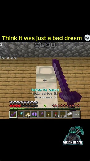 It Was Just a Normal Dream💀 #visionblockyt #minecraft