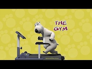 Bernard Bear - S01E01 - The Gym