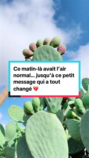 Ce matin-là avait l’air normal… jusqu’à ce petit message qui a tout changé