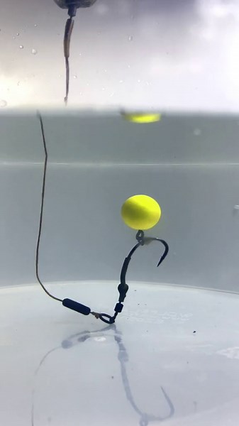 Ultimate Carp Fishing Guide Bait, Rigs & Pro Techniques