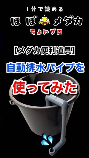 【メダカ便利道具】自動排水パイプを使ってみた #めだか #メダカ #HOBOめだか #ほぼメダカ #メダカ飼育 #自動 #排水 #パイプ #水換え #サイフォンの原理