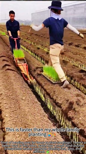 Hand-pushed vegetable transplanter – save time planting! 🌱⚡