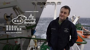 Video. Fishery surveys: the science behind fishing quotas