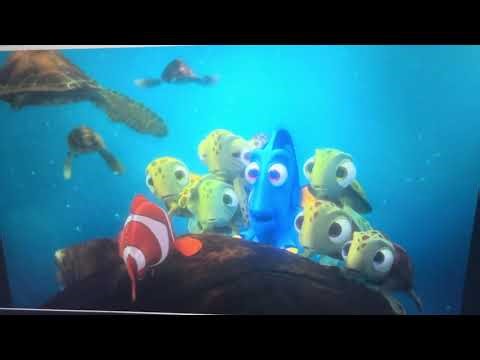 Finding Nemo (2003) sea turtles - part 4